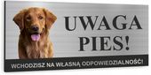 Tabliczka UWAGA ZŁY PIES - GOLDEN RETRIVER uv alu