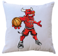 Poduszka z wkładem Chicago Bulls