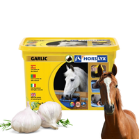 Horslyx Garlic Lizawka 5kg