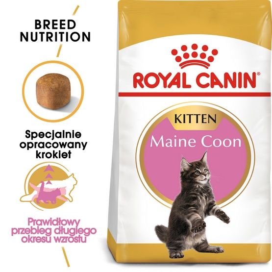 Karma dla kociąt Maine Coon, kotek w ciąży i karmiących - Royal Canin 2kg zdjęcie 2
