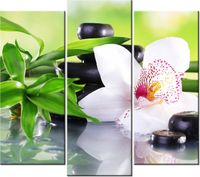 90 80CM OBRAZ T3 ELEM KAMIENIE SPA STORCZYK DRUK ŚCIENNY