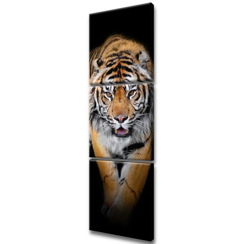 Fotoobraz 30X90 Tygrys na Arena.pl