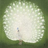 Plakat 30x30cm Peacock, Koson Japoński Vintage do Salonu