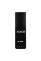 tester chanel antaeus edt 100ml