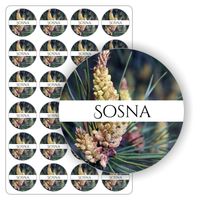 ETYKIETY etykietki arkusz naklejek samoprzylepne kolorowe SOSNA słoik 5cm