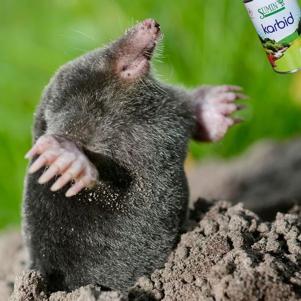 KARBID NA KRETY I NORNICE SUMIN GRANULOWANY ŚRODEK ODSTRASZA ZAPACHEM 1KG zdjęcie 6