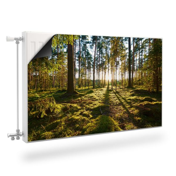 Osłona Magnetyczna Na Kaloryfer Las PEJZAŻ Leśny Natura 80cm x 60cm zdjęcie 1