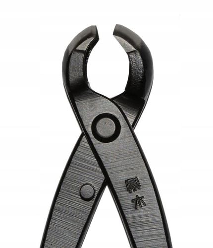 KLESZCZE DO BONSAI - DO SĘKÓW na Arena.pl