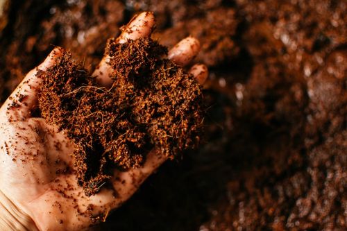 Włókno Kokosowe do Roślin Kwiatów Coco Peat frakcja 10mm 20L BIOVITA na Arena.pl