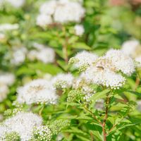 product-compare-57884721