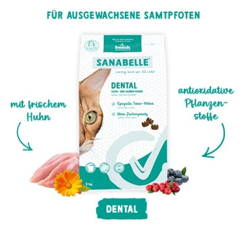 Sanabelle Dental 400g na Arena.pl