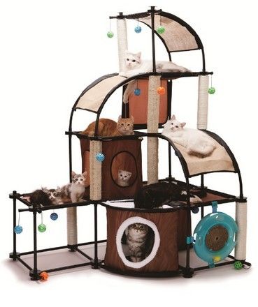 Kitty City Wzgórze do wspinaczki na Arena.pl