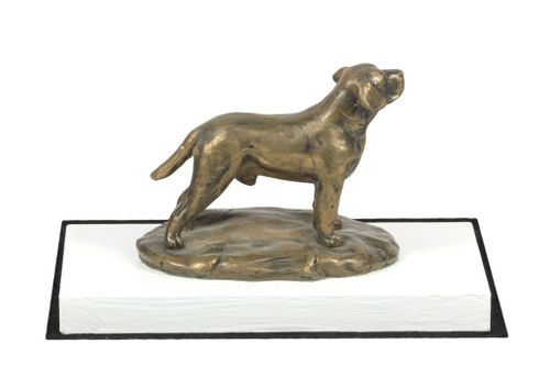 Labrador Retriever - figurka - 4574 na Arena.pl