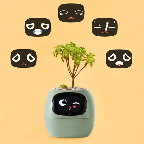 Inteligentna doniczka IVY SMART PLANTER osłonka na donicę PLANTSIO ZIELONA na Arena.pl