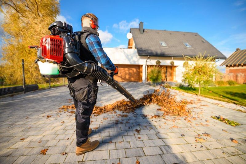 CEDRUS DM05 PRO PROFESJONALNY ODKURZACZ  DMUCHAWA SPALINOWA OGRODOWA DO LIŚCI - OFICJALNY DYSTRYBUTOR - AUTORYZOWANY DEALER CEDRUS zdjęcie 15
