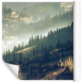 Fototapeta Las Góry Mgła Drzewa do Sypialni 135x90