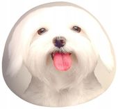 Poduszka dziecięca Mikrofibra 40x40 Greno pies