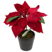 GWIAZDA BETLEJEMSKA SZTUCZNA WELUROWA W DONICZCE POINSECJA REALISTYCZNA