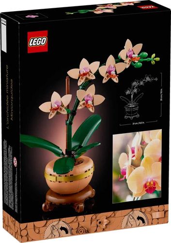 10343 - LEGO The Botanical Collection - Mała orchidea na Arena.pl