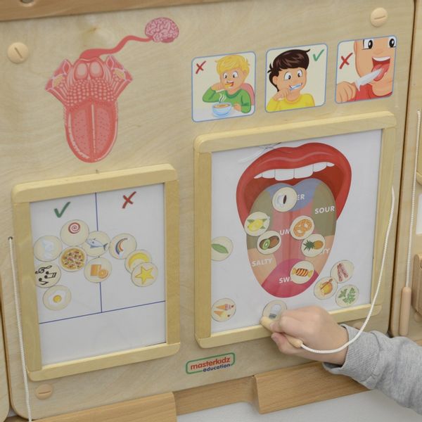 MASTERKIDZ Tablica Edukacyjna Zmysł Wzroku zdjęcie 4