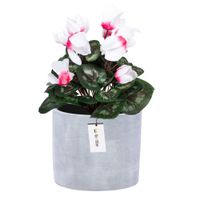 Doniczka osłonka ceramiczna Ø 16,5cm H 16cm kolor Szary beton mat