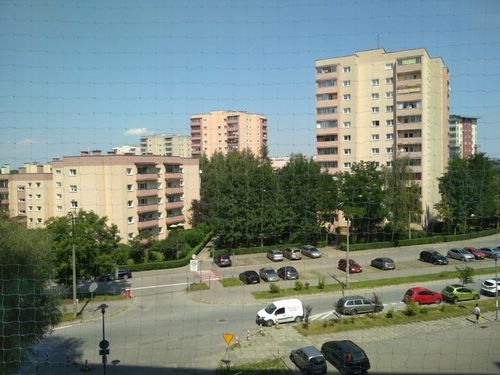 SIATKA PRZEZROCZYSTA NA BALKON DLA KOTA PTAKI 3x8 na Arena.pl