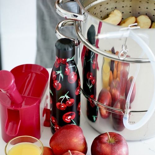 Drylownica do wiśni Tadar 16x9,8x28,8 cm na Arena.pl