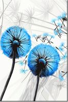 product-compare-58711879