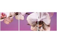 90X30CM KWIATY TRÓJ OBRAZ