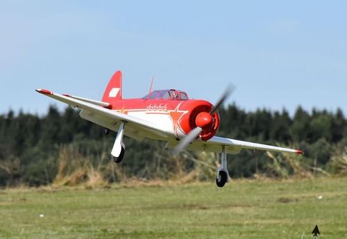 Yak-11 1450mm PNP na Arena.pl