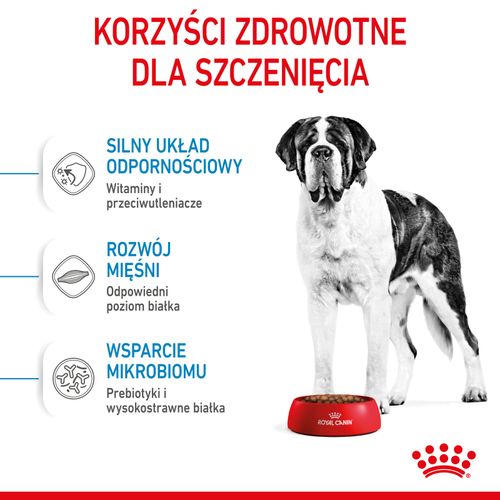 royal canin giant junior 15kg na Arena.pl