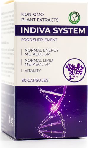 Suplement diety Indiva System 30 kapsułek na Arena.pl