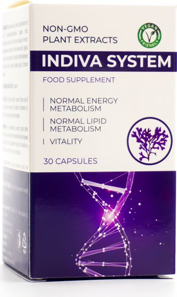 Suplement diety Indiva System 30 kapsułek zdjęcie 1