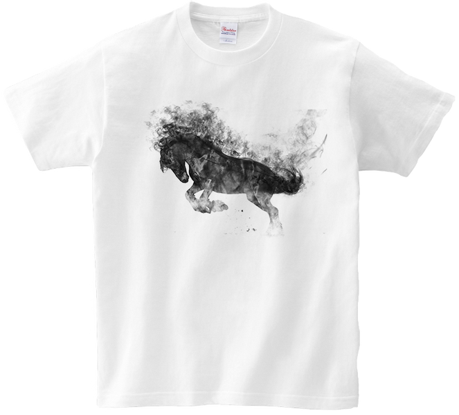 Koszulka T-shirt Konie zdjęcie 1