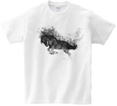 Koszulka T-shirt Konie