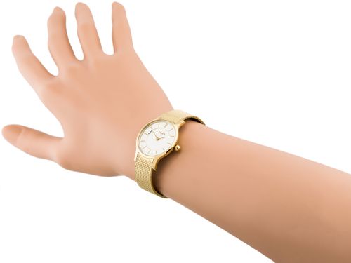 TIMEX T2P168 (zt598b) na Arena.pl