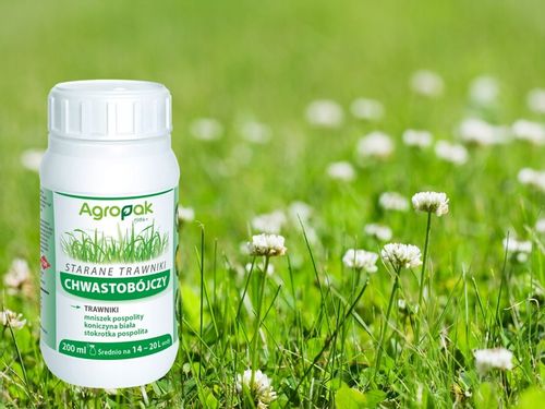 STARANE TRAWNIKI środek oprysk na chwasty w trawie trawniku 200ml NA 666m2 na Arena.pl