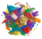 piórka bażanta 4-7 cm, 10 g, brights 3370