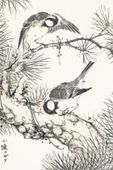 Plakat 40x60cm Willow Tit, Kashu Japoński Vintage do Salonu