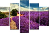 product-compare-58696184