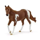 Klacz rasy Paint Horse