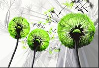 100 70CM OBRAZ PŁÓTNO DMUCHAWCE KOLORZE LIMONKI PŁÓTNO RAMA