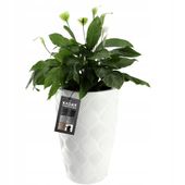 Donica Wysoka Doniczka Z Wkładem Ogrodowa 48,5cm