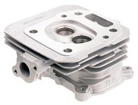 Głowica Cedrus Y196V 480499