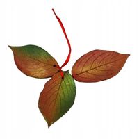 Ręcznie Robione Ceramiczne Liście – Unikalna Dekoracja Inspirowana Naturą