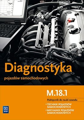 Diagnostyka pojazdów samochodowych na Arena.pl