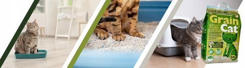 Żwirek dla Kota ZBRYLAJĄCY EKOLOGICZNY 24l Zbożowy BIODEGRADOWALNY do WC na Arena.pl