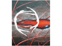 product-compare-58656878