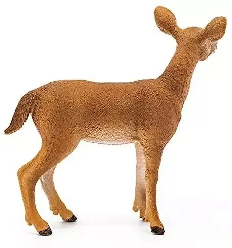 Wild Life. SLH14819. Mulak białoogonowy na Arena.pl