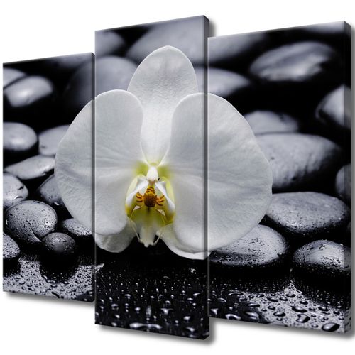 Obraz Na Płótnie 90X70 Biały Storczyk na Arena.pl